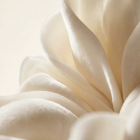Fragrance musc blanc 5ml pour création de parfum