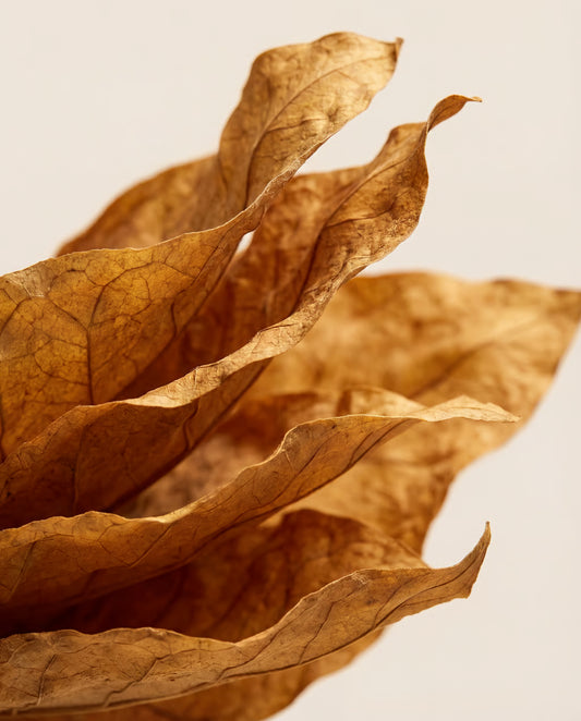 Tabac de Virginie - 5ml