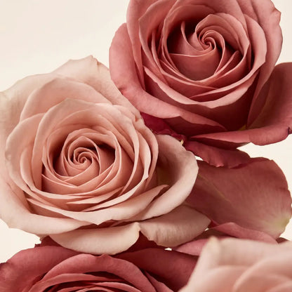 Fragrance rose 5ml pour création de parfum
